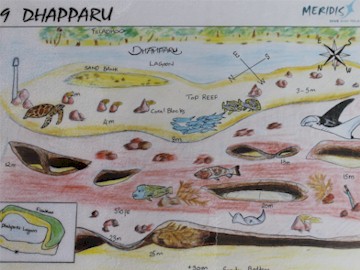 Dhapparu